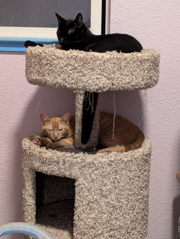 PXL 20260405 070754054