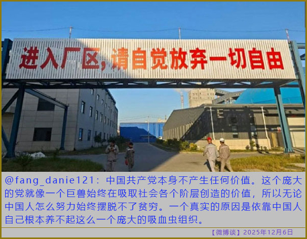 https://i.postimg.cc/zBTpphqD/20251206-bt-(4).jpg
