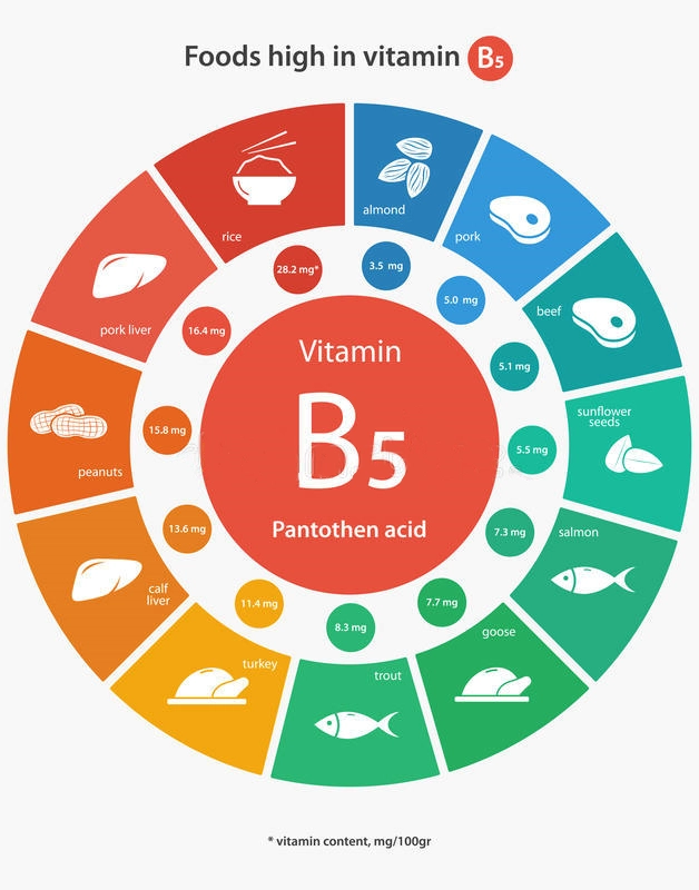 Food rich in vitamin B5 Pantothenic Acid - Infographic