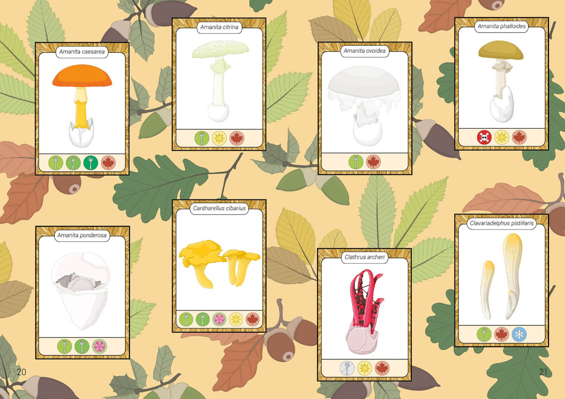 WhatsApp Image 2022-12-03 at 13.39.43 (2)