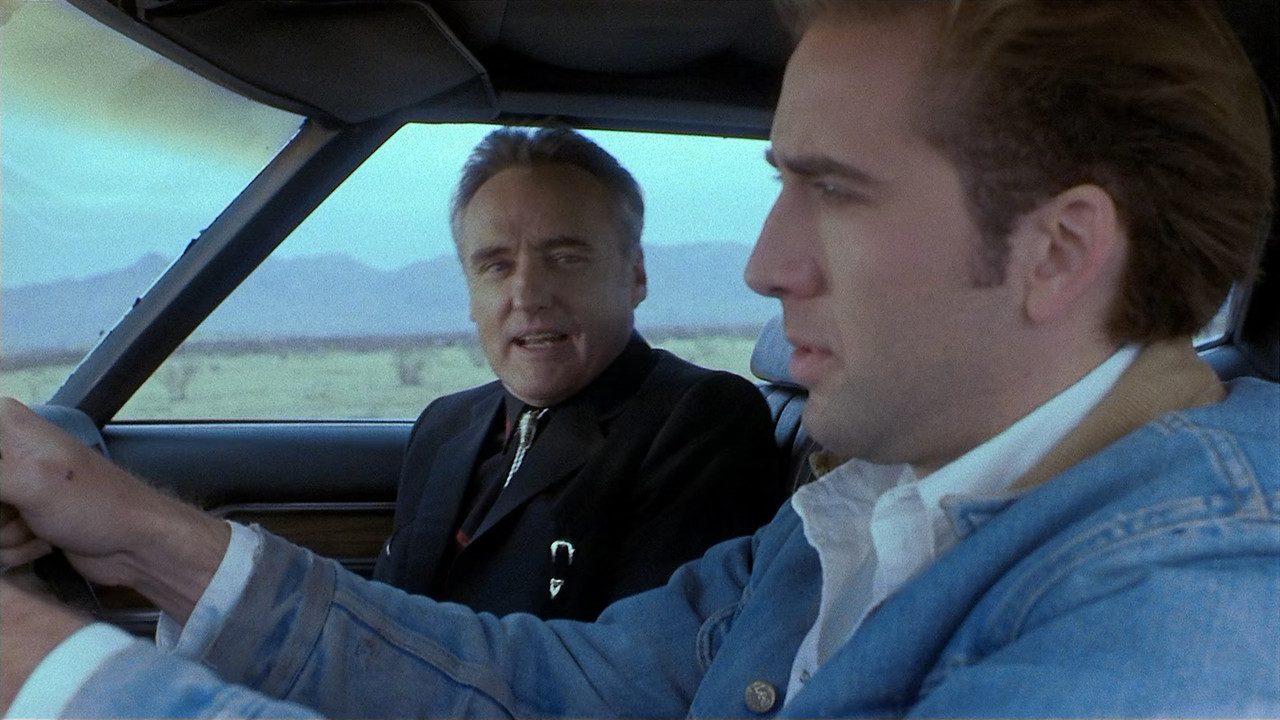 Red Rock West 1993 (1080p x265 10bit Tigole).mkv