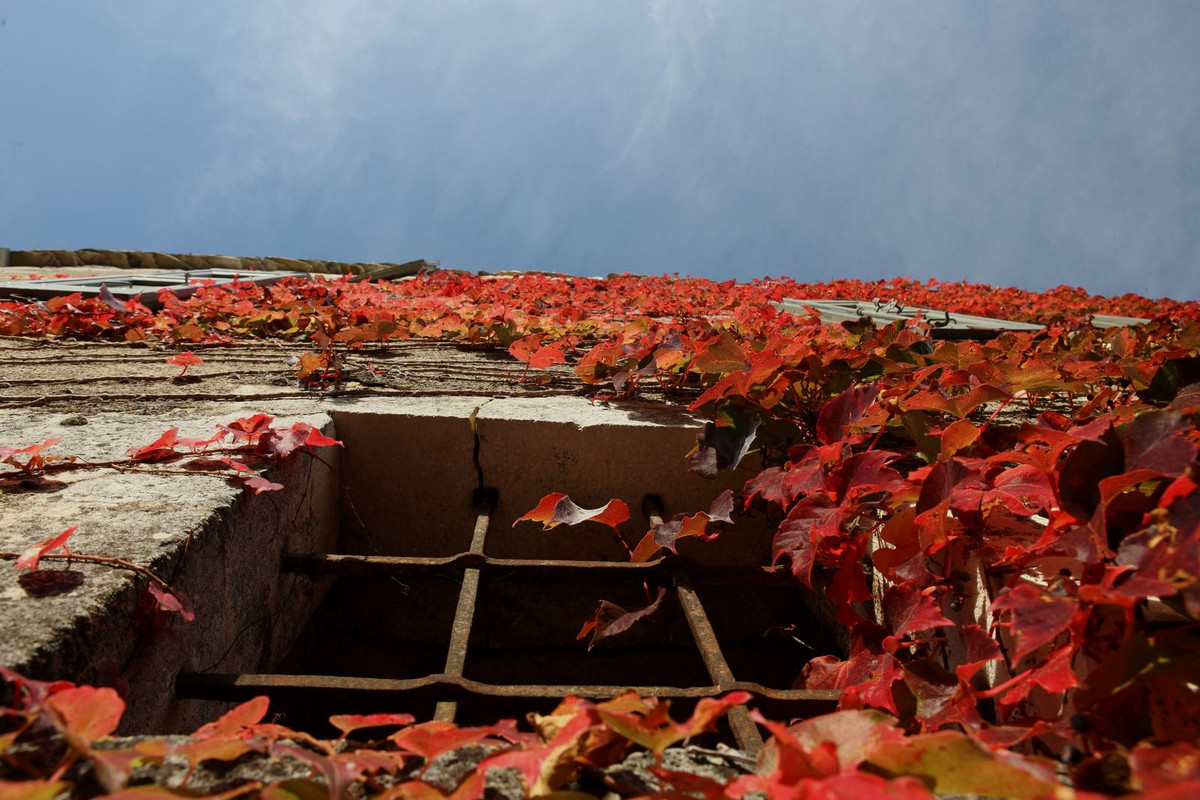 Couvertoirade (24).JPG.1