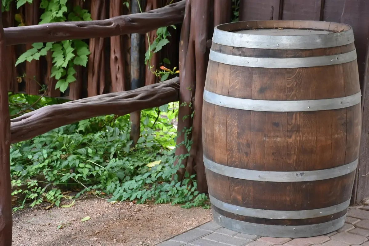 brown-barrel-6619606-1280.webp