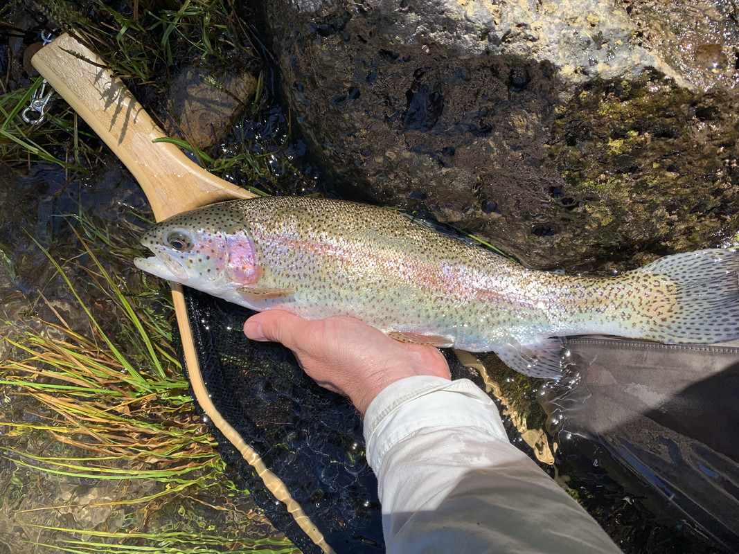 0836F09F-537B-41B2-AB50-780A6476F01C