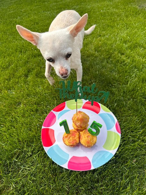 pixie-15th.jpg