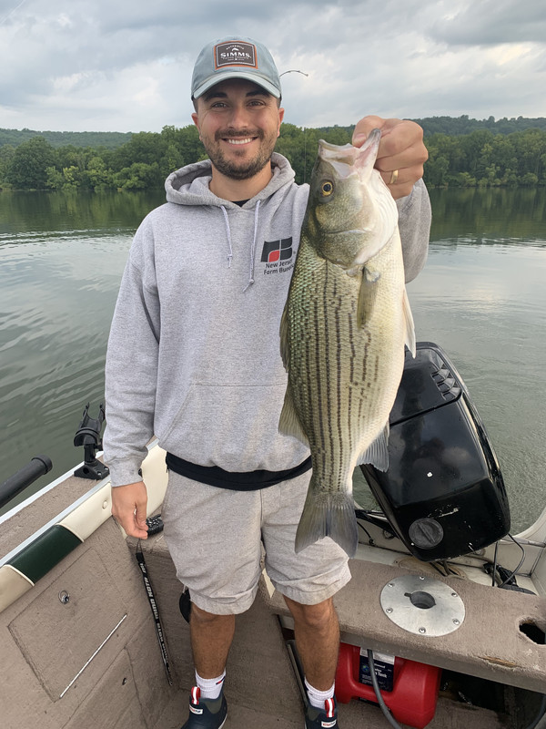 4DE031B8-4737-4E75-B628-80E940307212