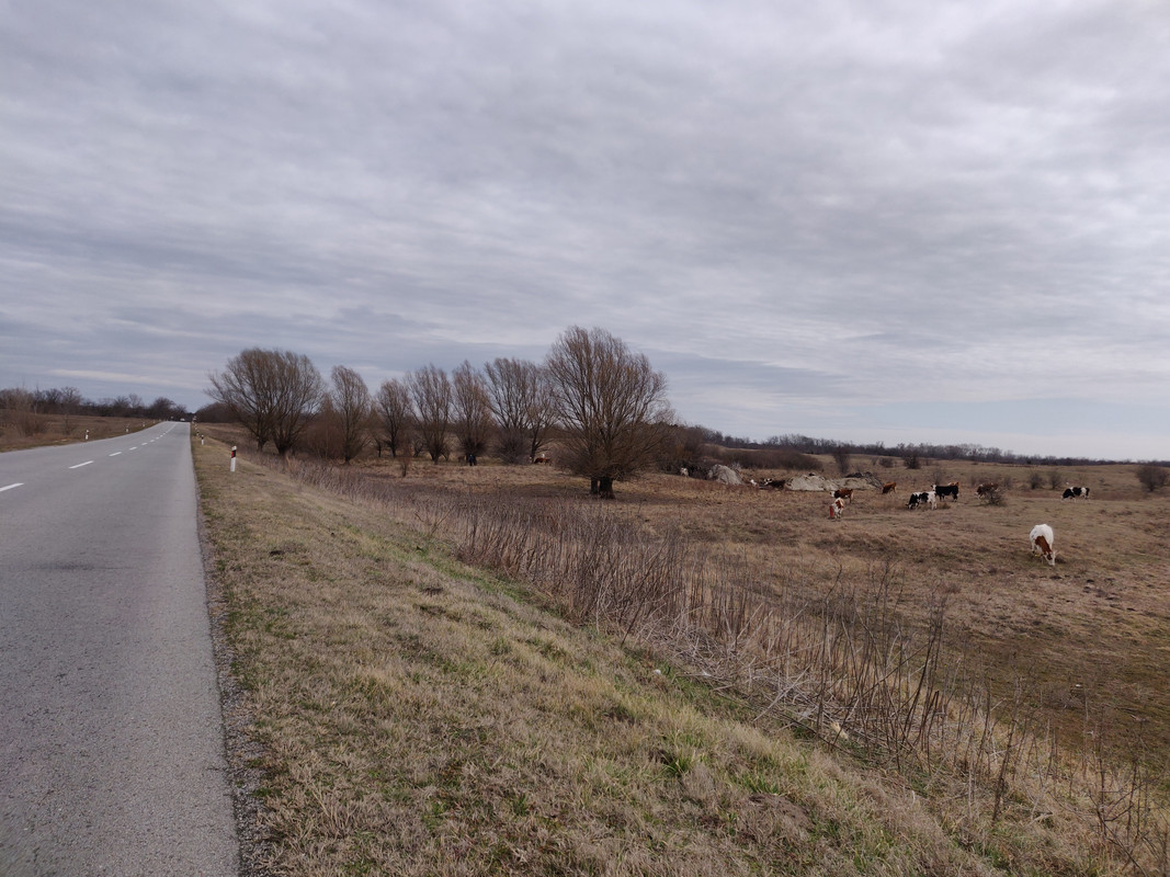 IMG_20200301_111124