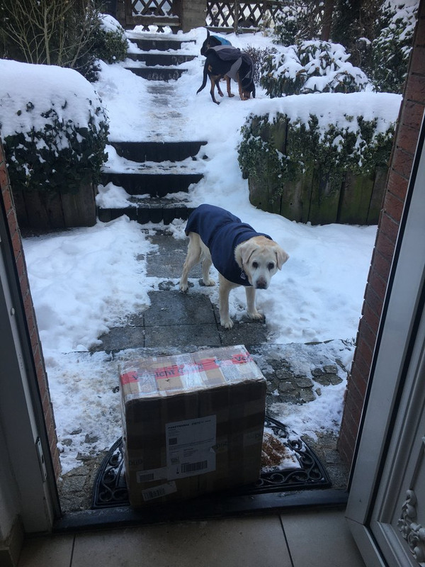 A2306EC3-3E73-41BB-8A5E-49B9A1C5F9DD