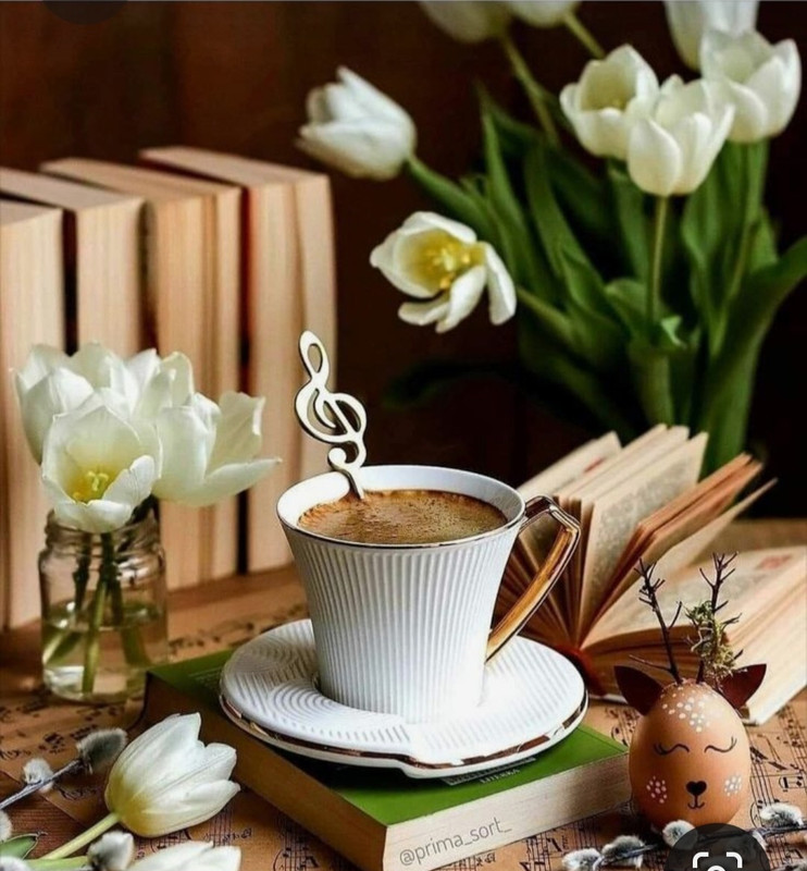 Screenshot_20230312_013701_Pinterest