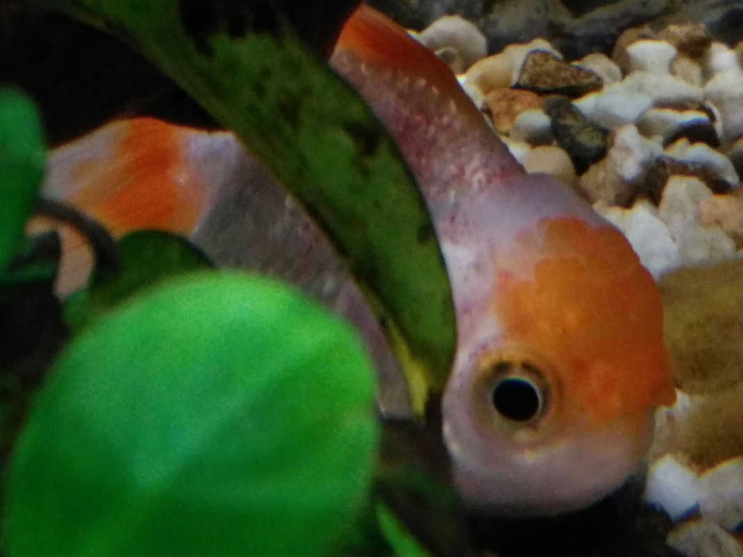 WhatsApp Image 2017-03-30 at 10.15.13 (1)