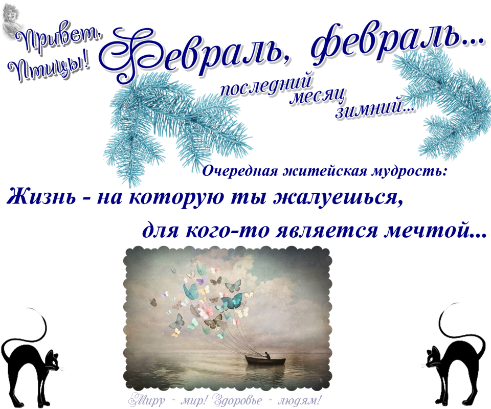 https://i.postimg.cc/zBWdzGty/17-02.png