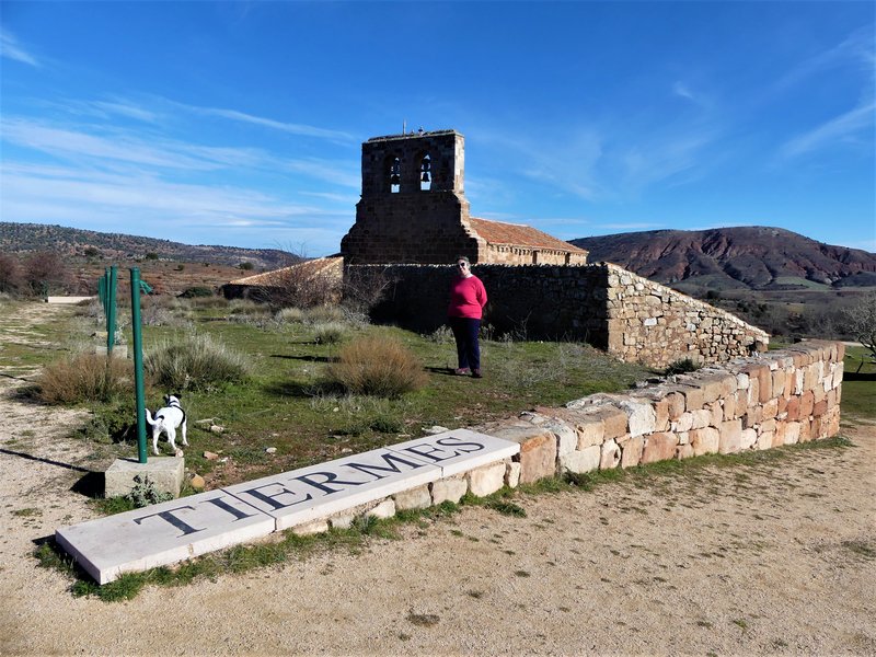 YACIMIENTO ARQUEOLOGICO DE TIERMES-16-2-2020 - Soria y sus pueblos-2010/2013/2020 (19)