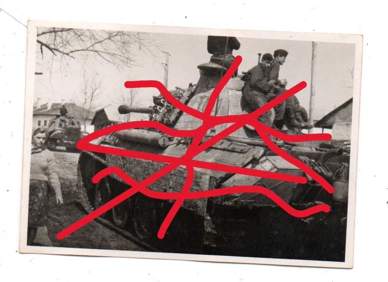 k40 Ungarn 1945 Endkampf SDkfz Panzer Tank Panther Kennung Panzersoldat Gewehr