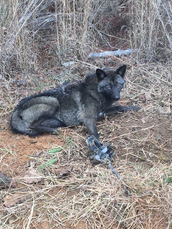 DF5ACF4B-41FF-4887-8813-48858EFA6C22