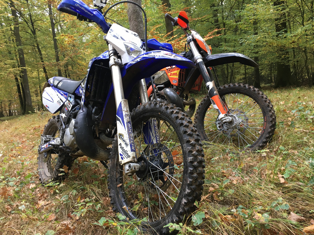 2056C1D9-EE44-4195-8441-2E081D514188