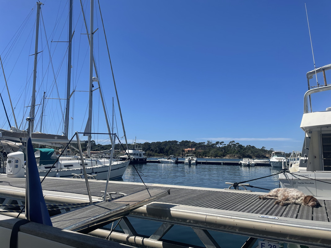 FB0084AE-D6CF-4234-83A6-EA876D048730