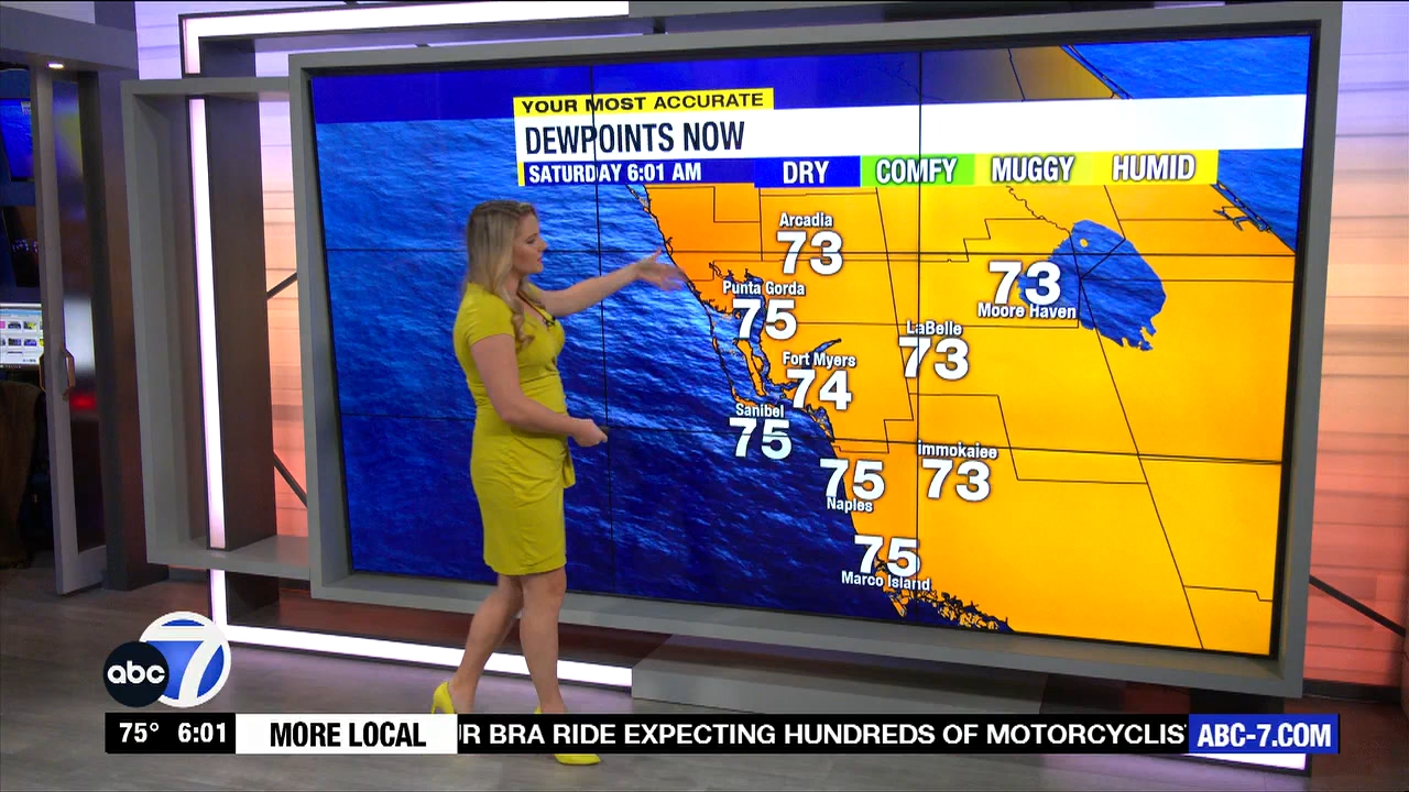 ABC7 More in the Morning Wkn 6am Sa_20231007_11001200.ts_snapshot_01.38.149