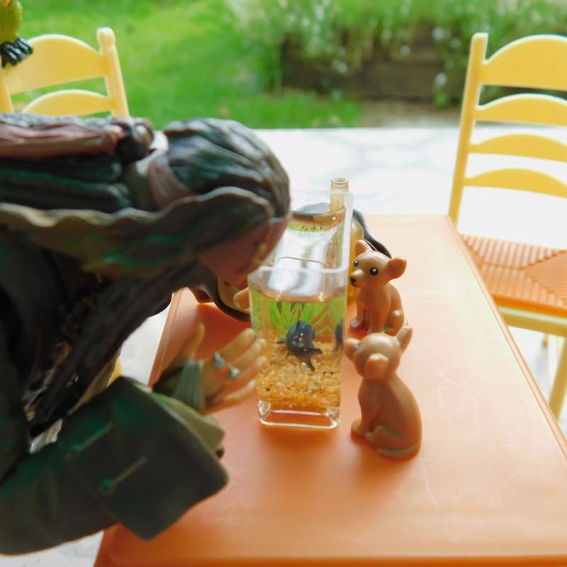 Дачное Маттел к Хелл 2025, Харли и Ко продолжение 206