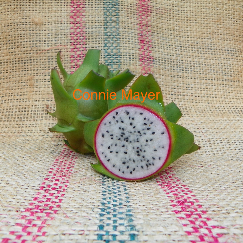 图片_20250122223601