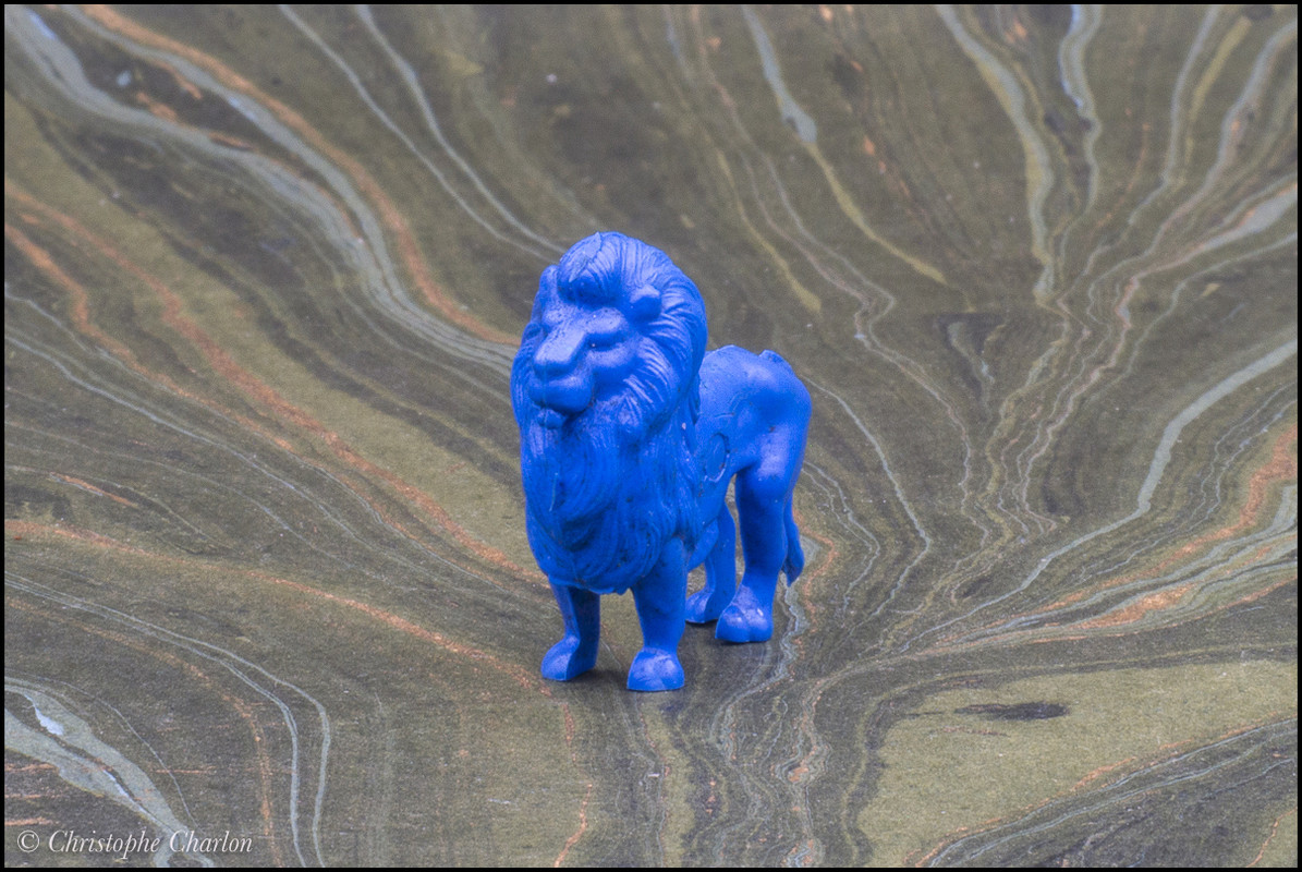 Back in CCCP: A blue savannah and other rubber animals CCCP-Lion-4