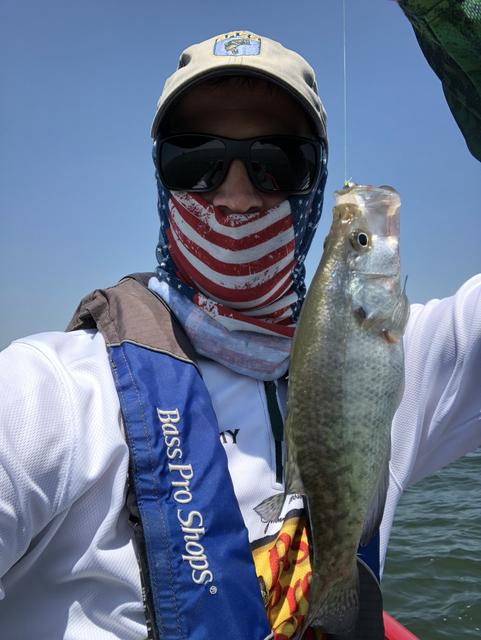 C44B153C-456D-4227-BA86-AF7D42FA8365