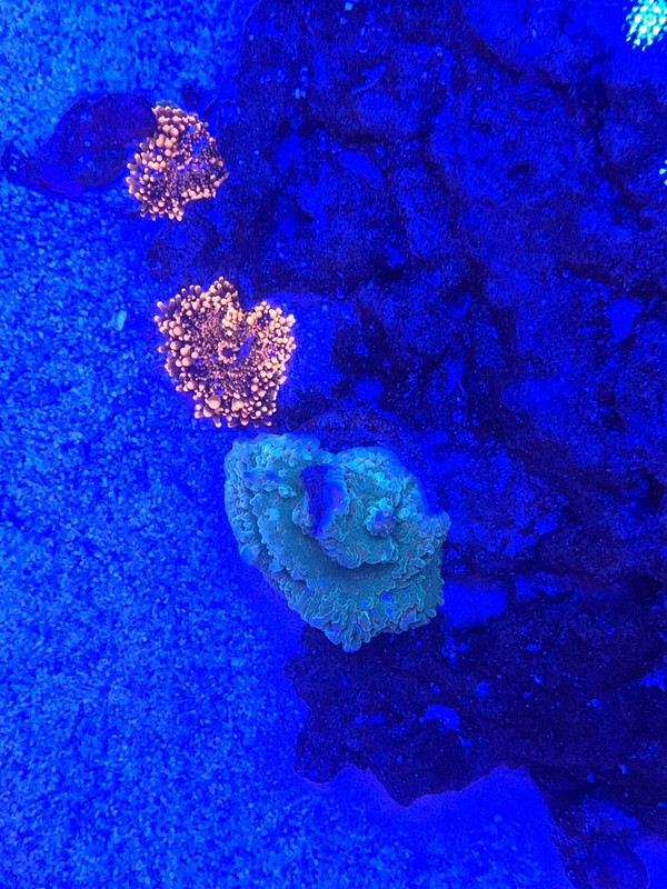 C0AA8690-3CDC-42B3-934F-6510DC51B199