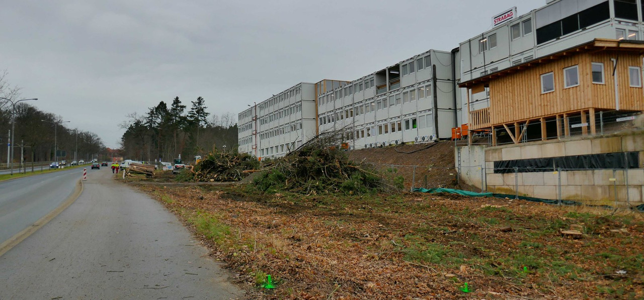 Bild: https://i.postimg.cc/zBYHDq5D/P1240962.jpg