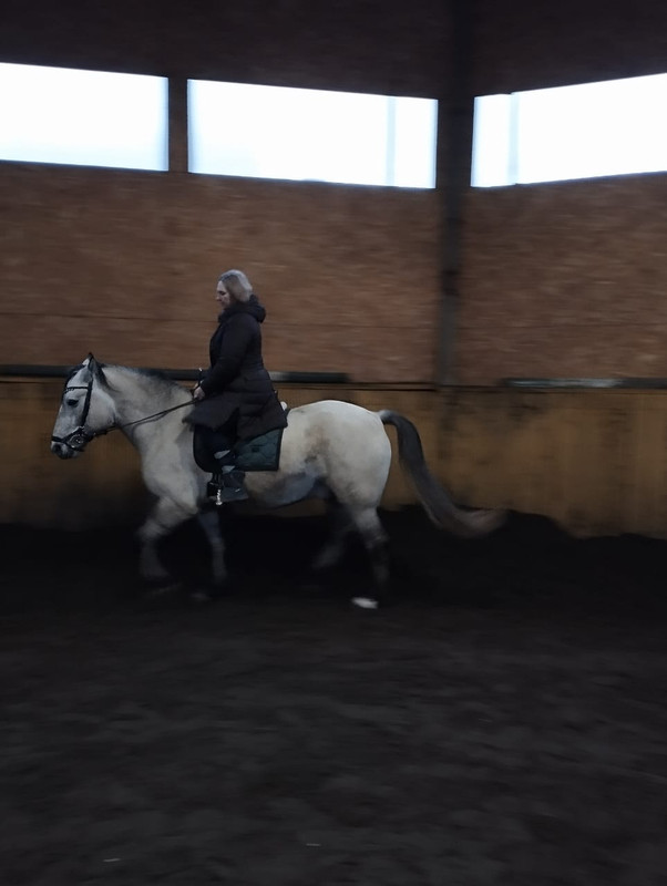 AB4D8DB2-99EE-4393-84FA-4392DFDCA720