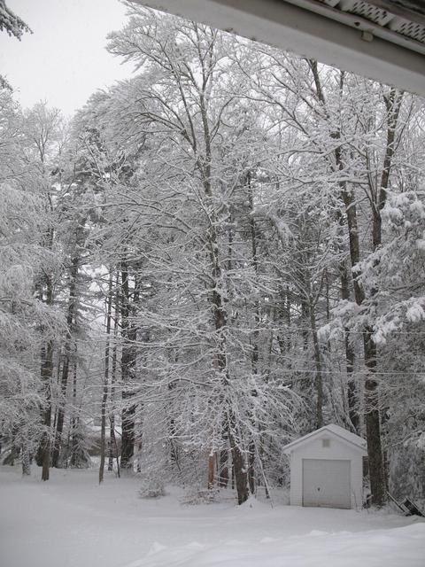 IMG-1990.jpg