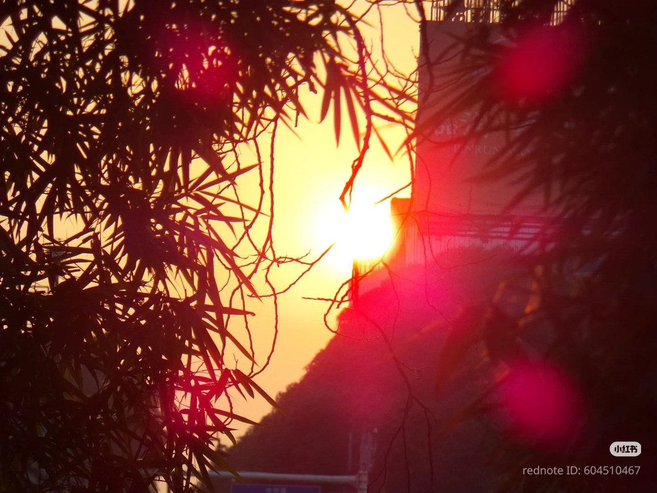 photo 12 2026 01 10 15 44 24