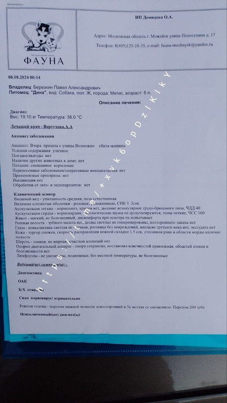 IMG-20240810-154234-833