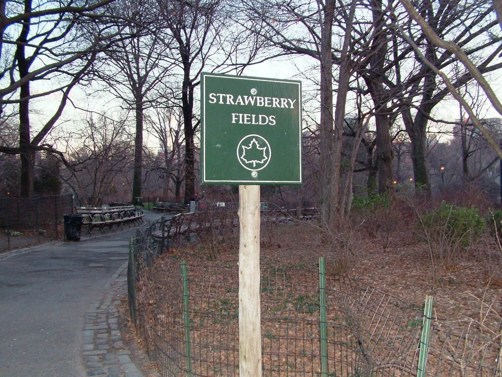 DSCF1557.jpg