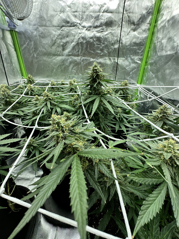 48738C5A-EF00-4660-88BB-3671187B3B26