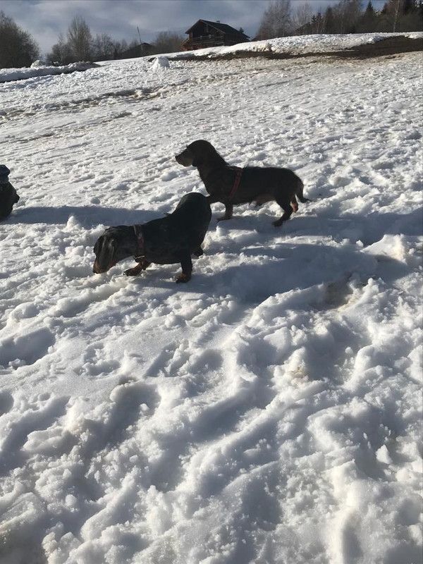 [Image: IMG-20230326-WA0005.jpg]