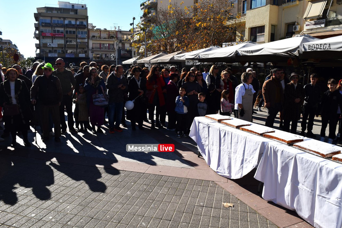 ΣΕΜ ΒΑΣΙΛΟΠΙΤΑDSC_0513