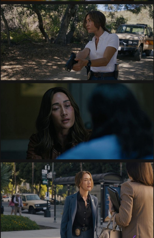 Screenshot of Ballard  Season 1 [Ep01-10] Completed (ORG Hindi] (2025) &bull; Hindi, English Dual Audio on MovieLinkBD