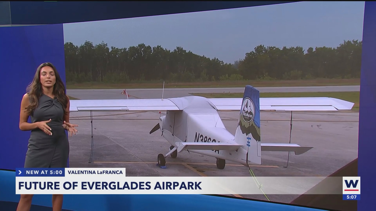WINK News at 5pm_20250311_21002130.ts_snapshot_09.06.190