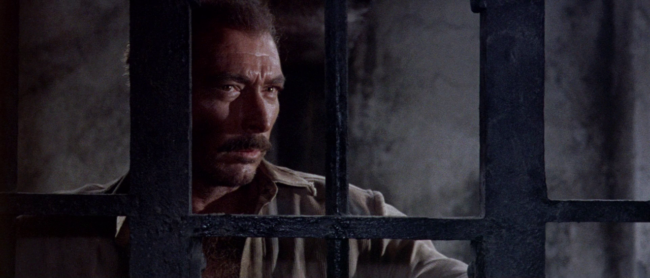 vlcsnap-2023-03-20-21h31m29s593