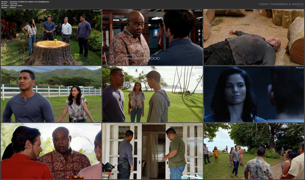 Hawaii Five-0 S10E09 The Trunkless Tree of Kahilikolo.mkv