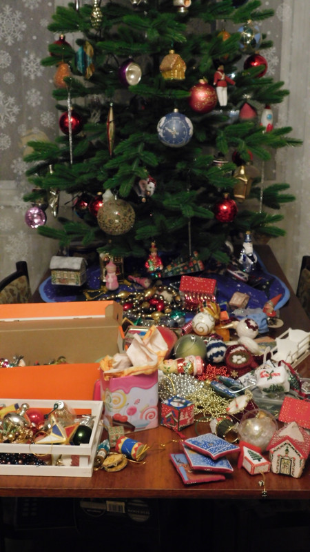 Предновогоднее декабрь 2023 дом 028