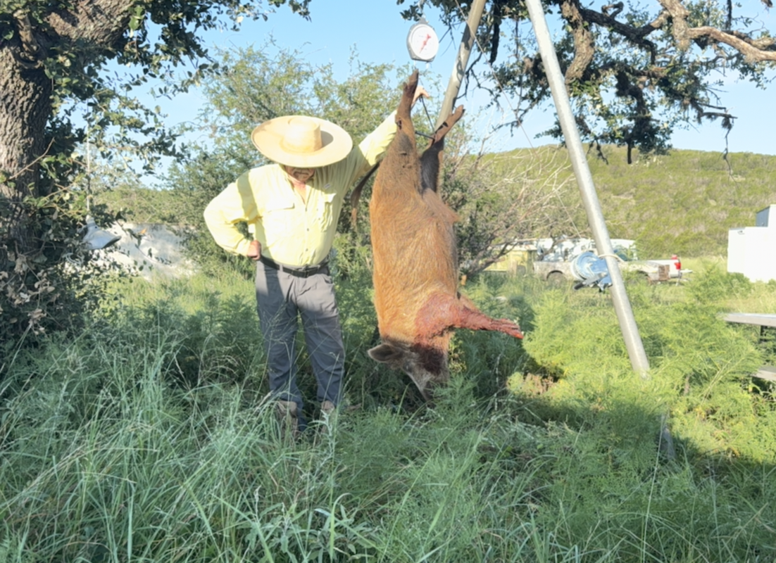 Screen Shot 2025-08-05 at 11.42.02 AM