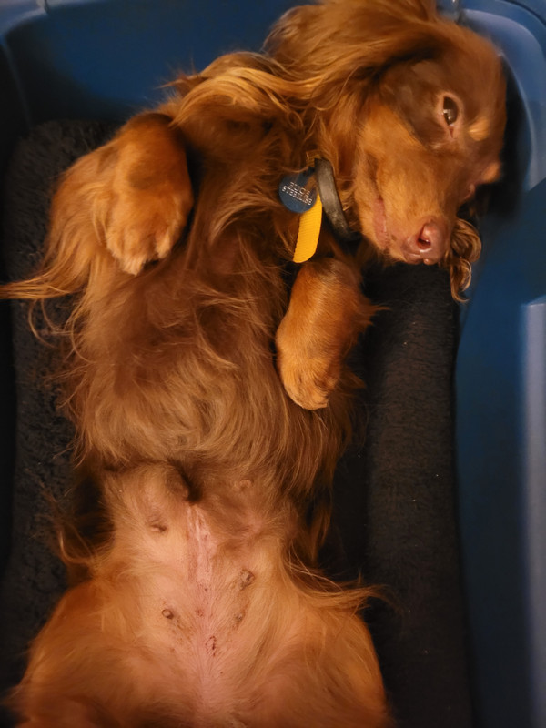 [Image: 20250219-221048.jpg]