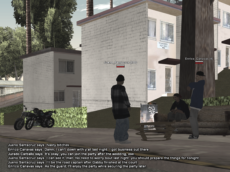 SS3.png