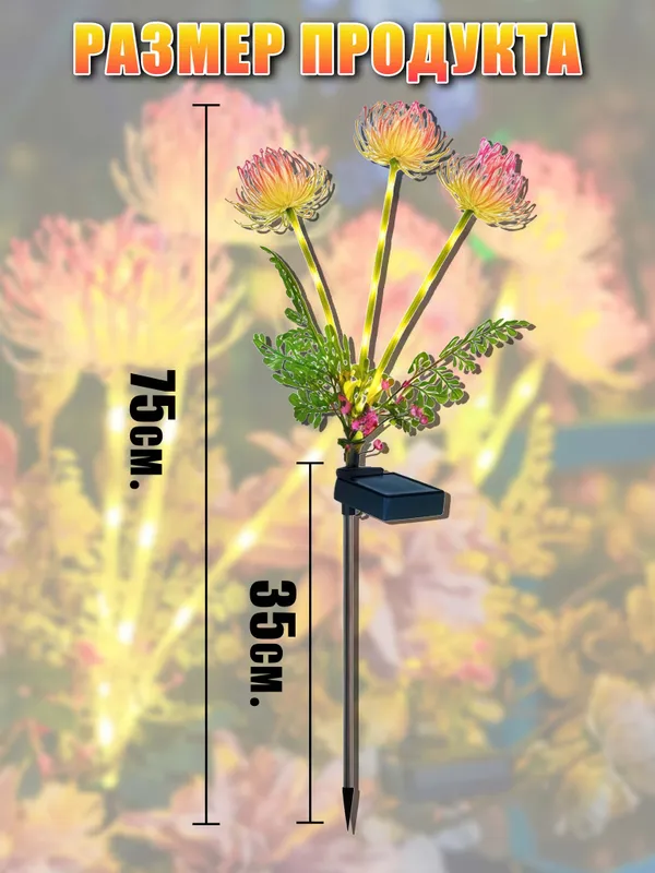 a465b615f85b4dfc98af50a36d78f976