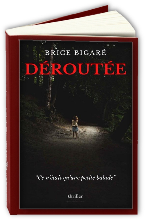 Deroutee-French-Edition-Brice-Bigare.jpg