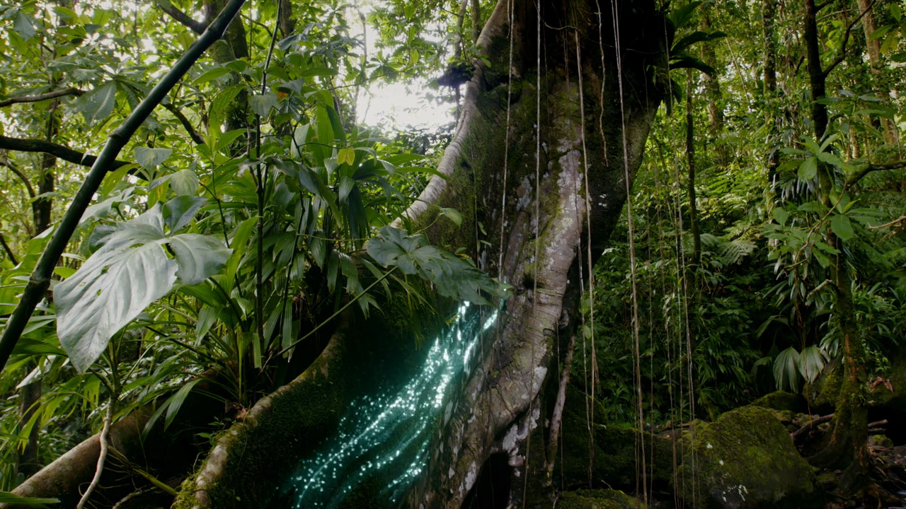 One Strange Rock (2018)1a