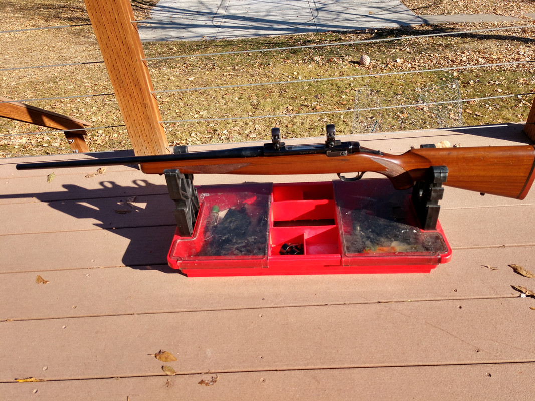 IMG_20191116_114037735_HDR