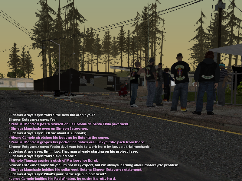 SSRoleplay1270.png