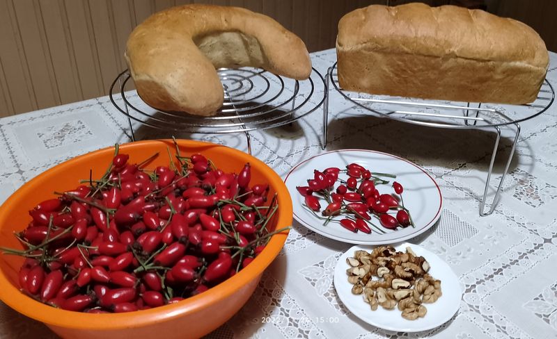 https://i.postimg.cc/zBbtxP8J/csipkebogyo-dio-okifli-kenyer-2022-11-24.jpg