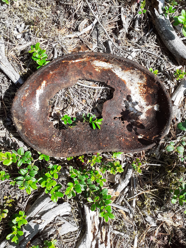 20220719_114355 – kopio